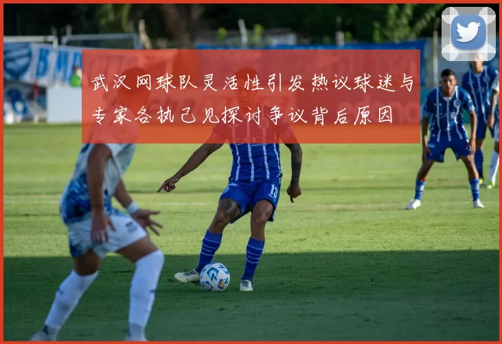 武汉网球队灵活性引发热议球迷与专家各执己见探讨争议背后原因