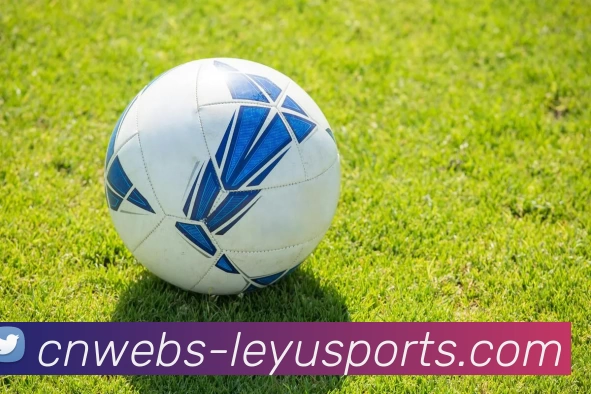 乐鱼vip发展历程