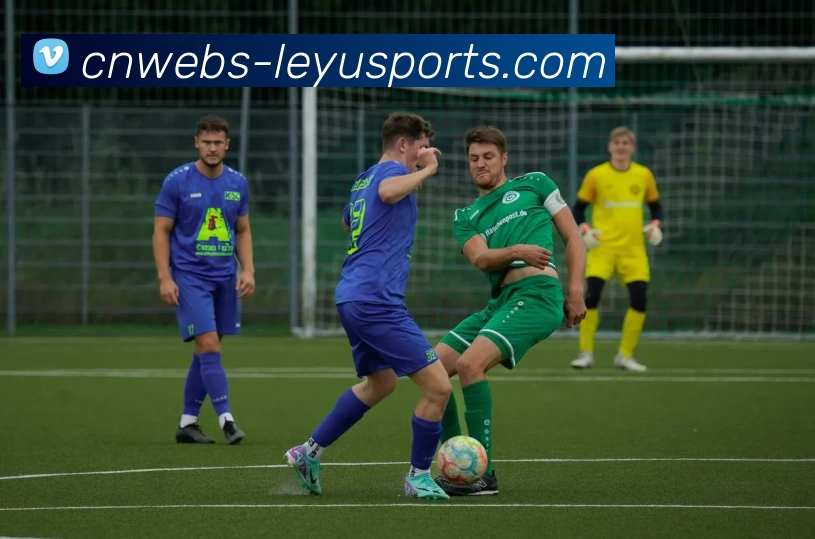 深圳排球队创新包夹战术引领新潮流助力竞技水平提升